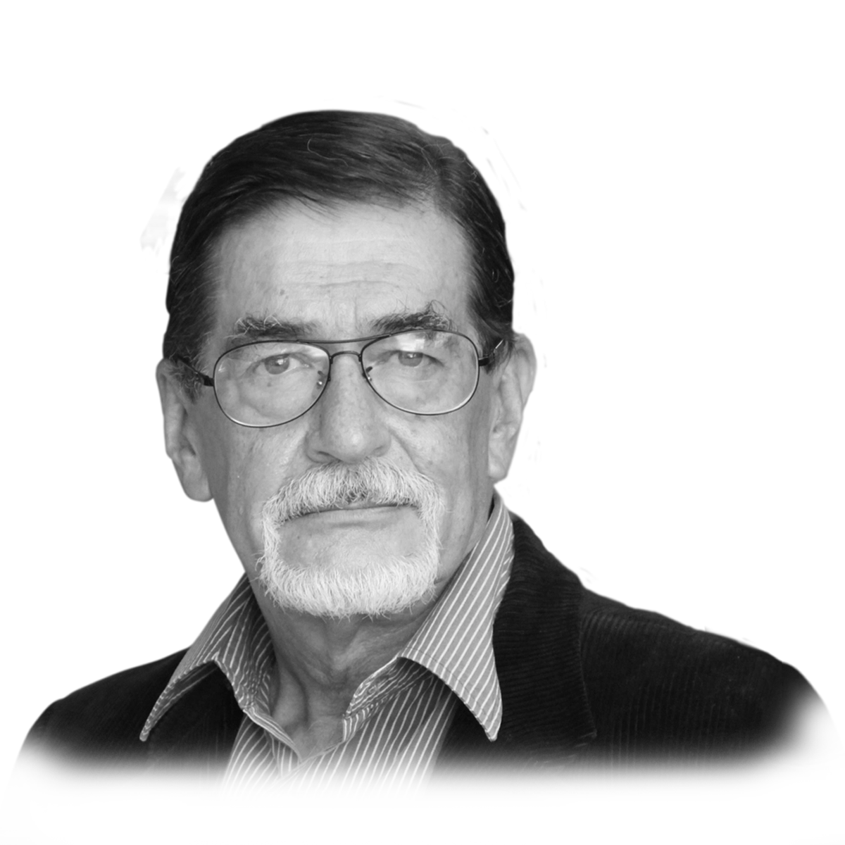 Imagen del autor