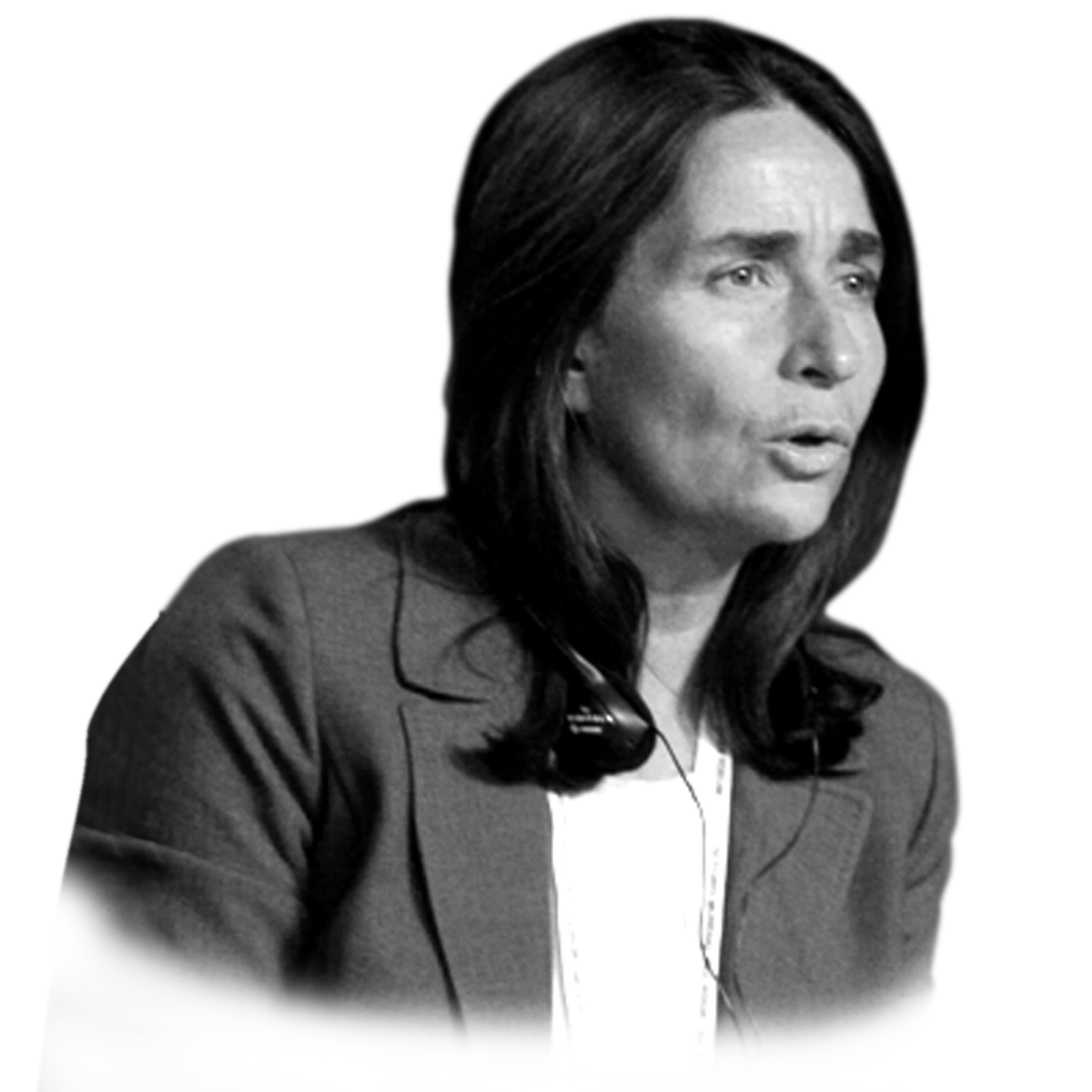 Imagen del autor